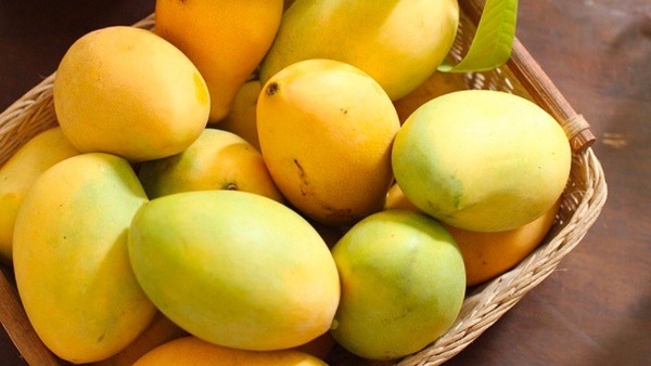 Xoài cát - Hạt Dinh Dưỡng Full Fruits - Công Ty TNHH Full Fruits