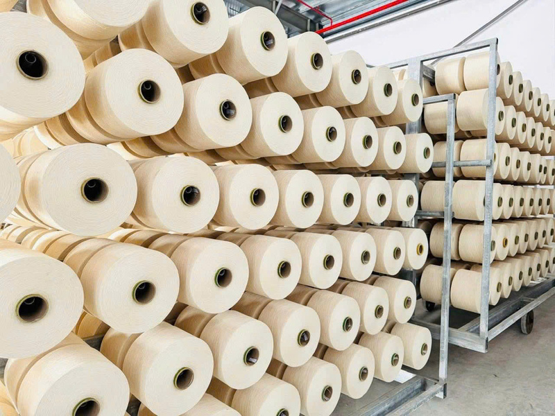 Sợi cotton
