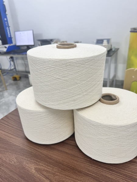 Sợi cotton