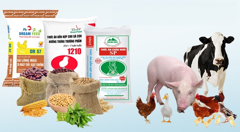 Tiêu hủy thức ăn chăn nuôi - Công Ty TNHH DNA Bạch Kim
