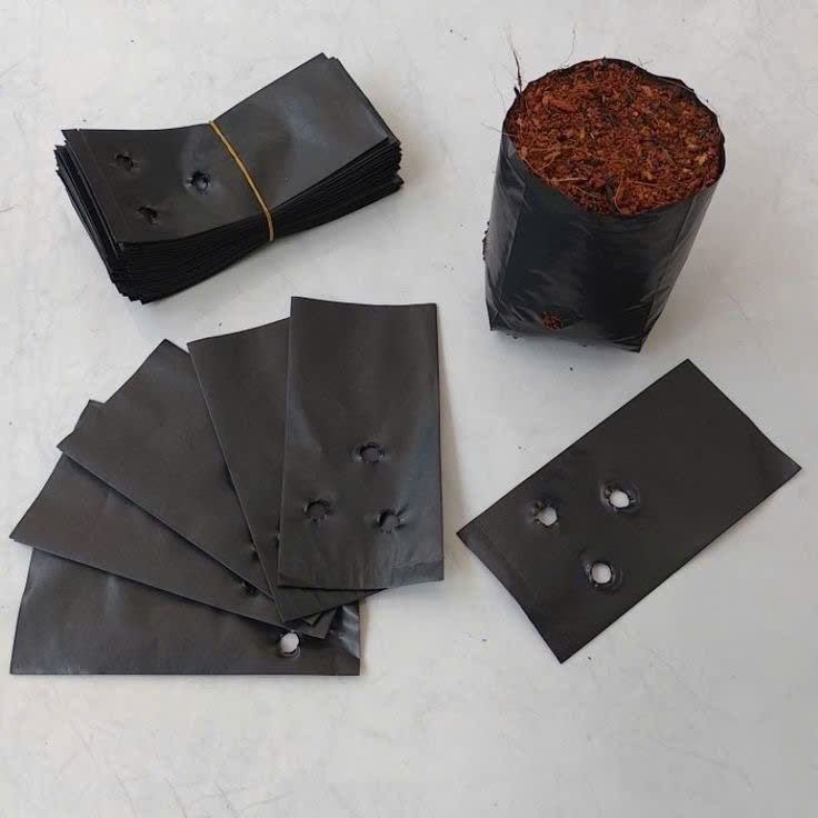 Túi ươm cây - Túi Nilon Thi Thi Packaging - Công Ty TNHH Sản Xuất Thương Mại Dịch Vụ Thi Thi Packaging