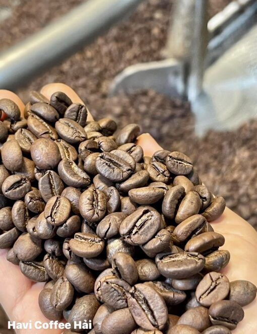 Hạt cà phê rang xay Robusta túi 500g