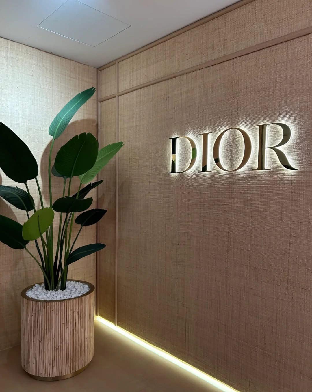 Showroom Dior