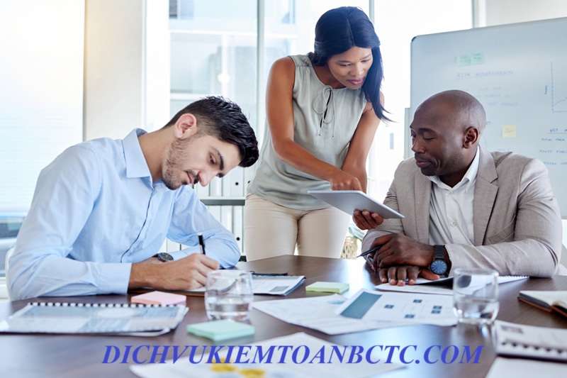 Dịch vụ kiểm toán tại tỉnh Đồng Tháp - Kiểm Toán Rồng Việt - Văn Phòng Đại Diện Công Ty TNHH Kiểm Toán Tư Vấn Rồng Việt Tại Thành Phố Hồ Chí Minh