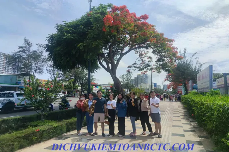 Dịch vụ kiểm toán - Kiểm Toán Rồng Việt - Văn Phòng Đại Diện Công Ty TNHH Kiểm Toán Tư Vấn Rồng Việt Tại Thành Phố Hồ Chí Minh