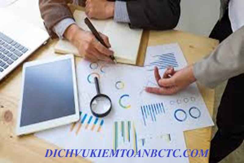 Dịch vụ kiểm toán, báo cáo tài chính - Kiểm Toán Rồng Việt - Văn Phòng Đại Diện Công Ty TNHH Kiểm Toán Tư Vấn Rồng Việt Tại Thành Phố Hồ Chí Minh