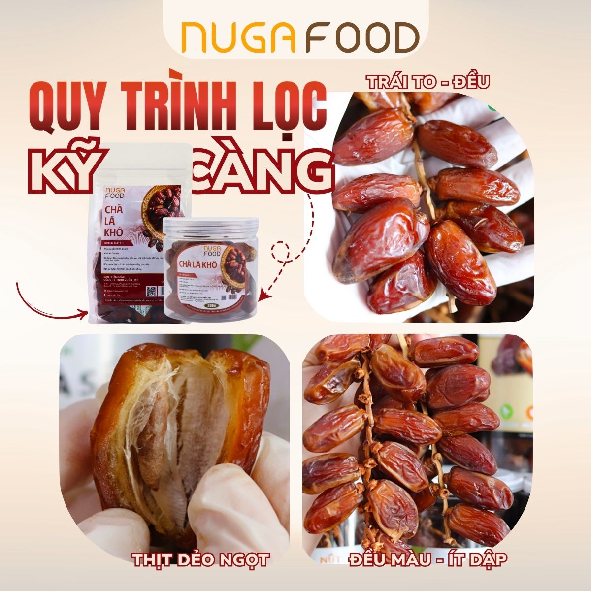 Chà là khô - Nuga Food - Công Ty TNHH Vườn Hạt