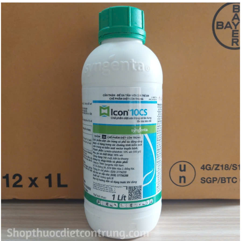 Icon 10CS