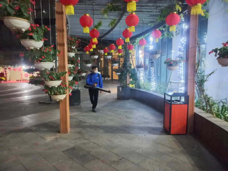 Dịch vụ diệt côn trùng