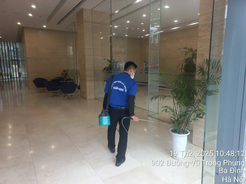 Dịch vụ diệt côn trùng