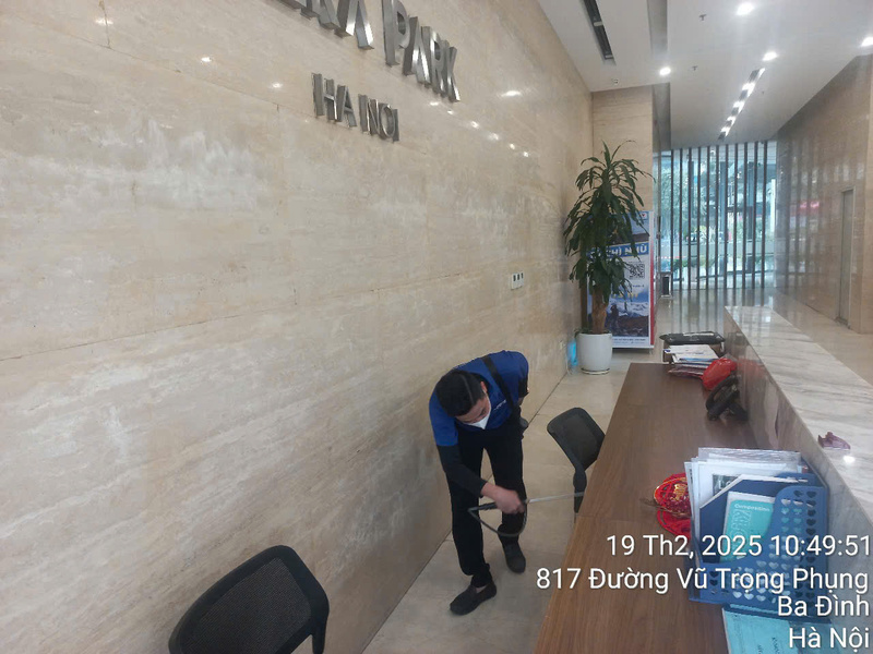 Dịch vụ diệt côn trùng