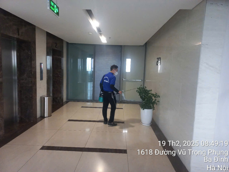 Dịch vụ diệt côn trùng