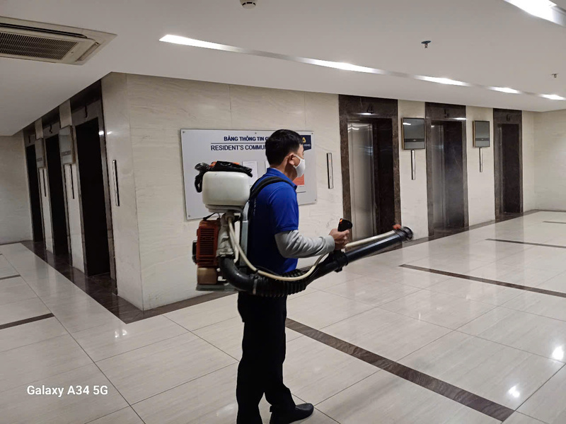 Dịch vụ diệt côn trùng