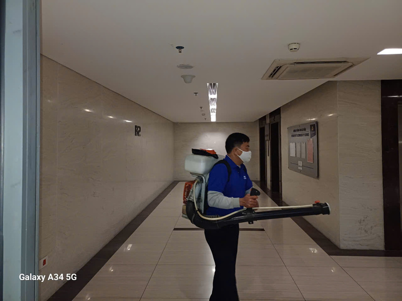Dịch vụ diệt côn trùng
