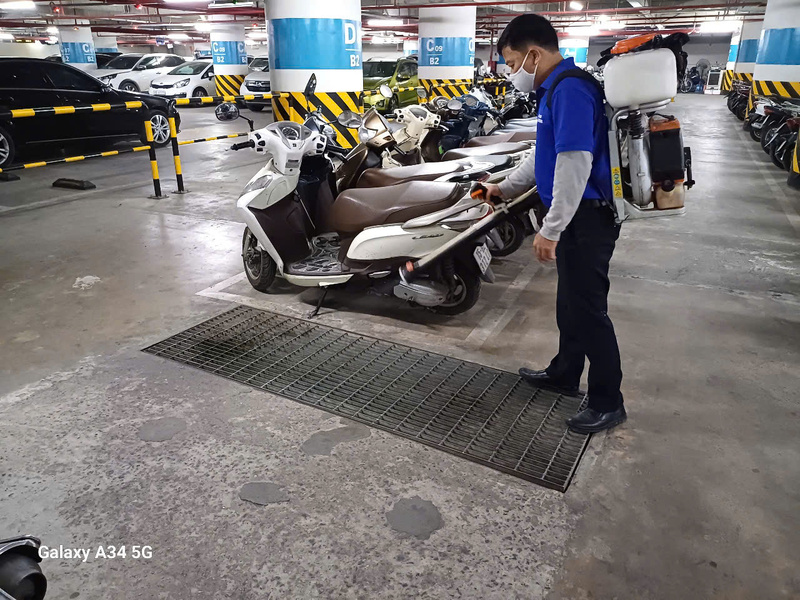 Dịch vụ diệt côn trùng