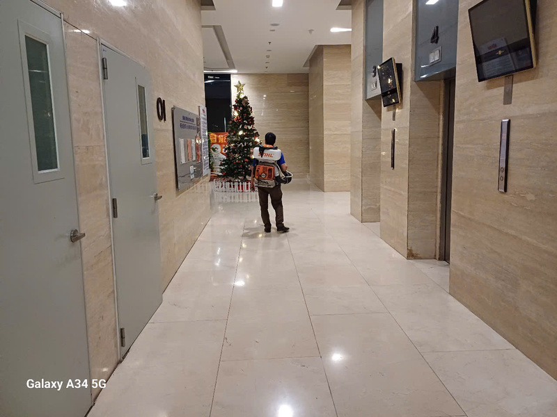 Dịch vụ diệt côn trùng