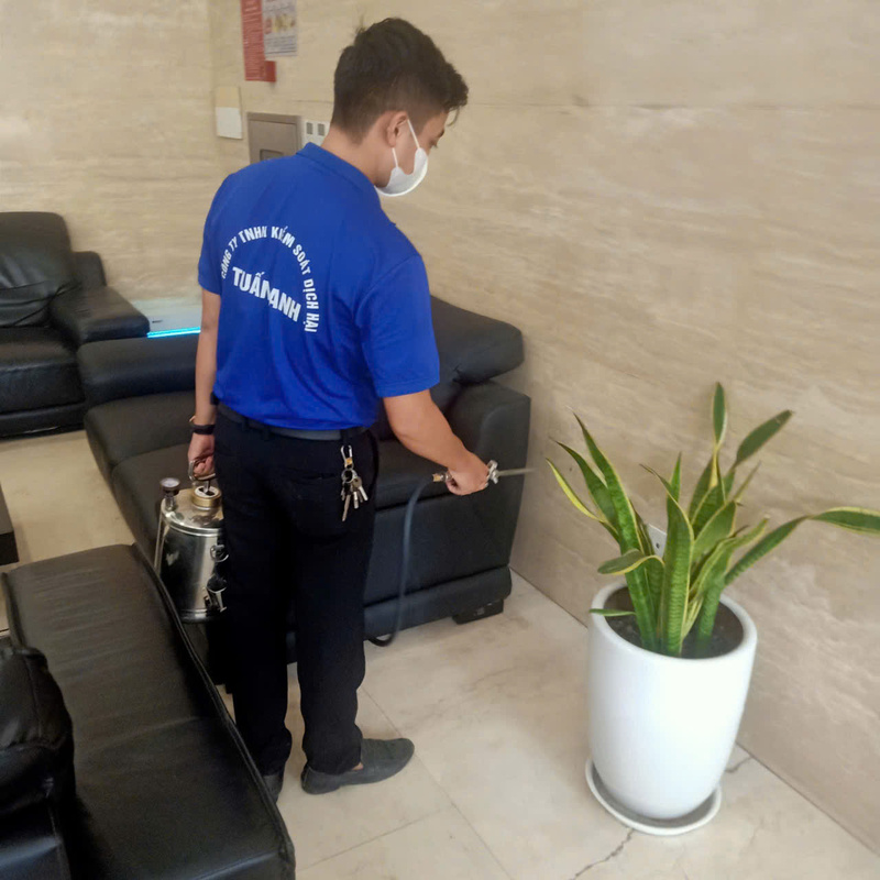 Dịch vụ diệt côn trùng