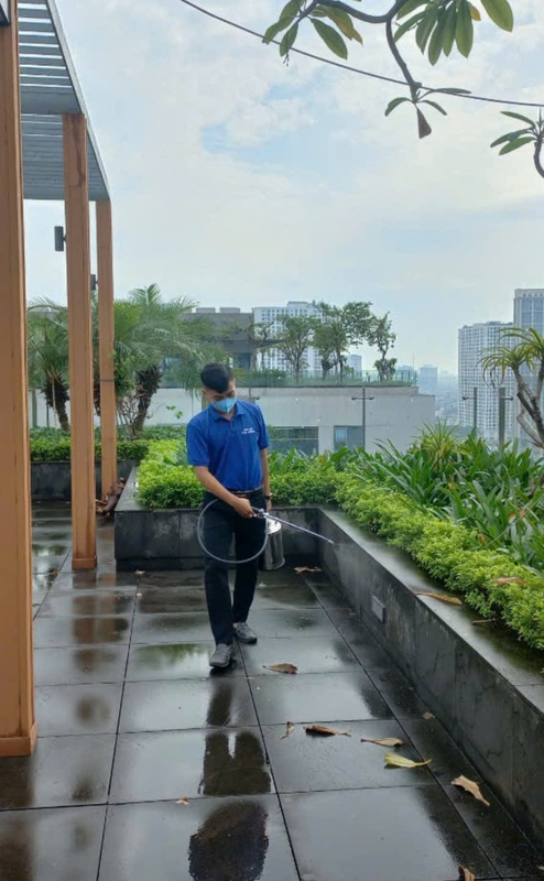 Dịch vụ diệt côn trùng