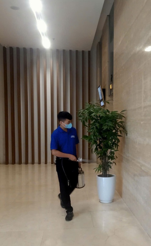 Dịch vụ diệt côn trùng