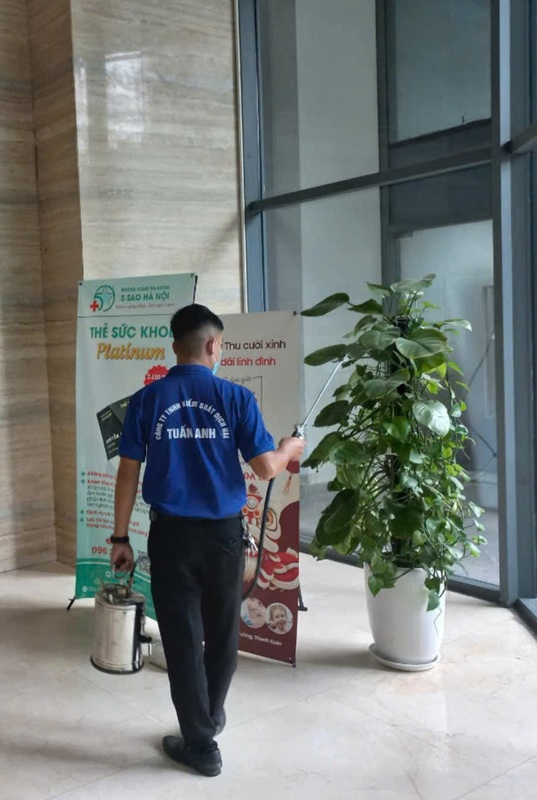 Dịch vụ diệt côn trùng