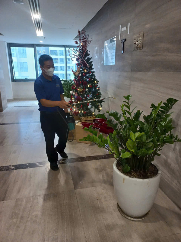 Dịch vụ diệt côn trùng