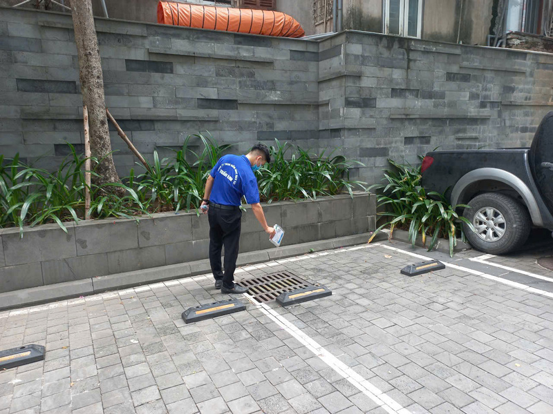 Dịch vụ diệt côn trùng