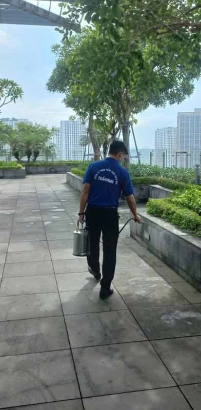 Dịch vụ diệt côn trùng