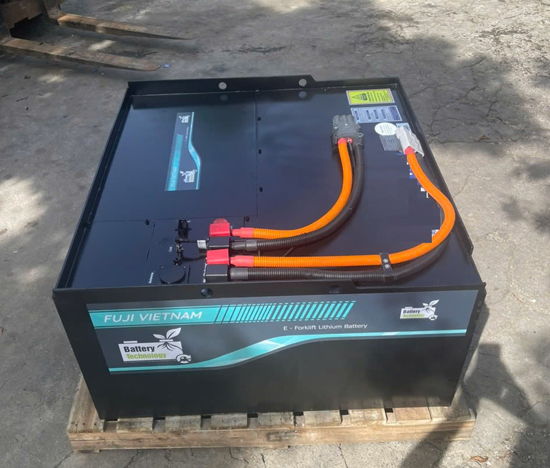 Pin Fuji Lithium