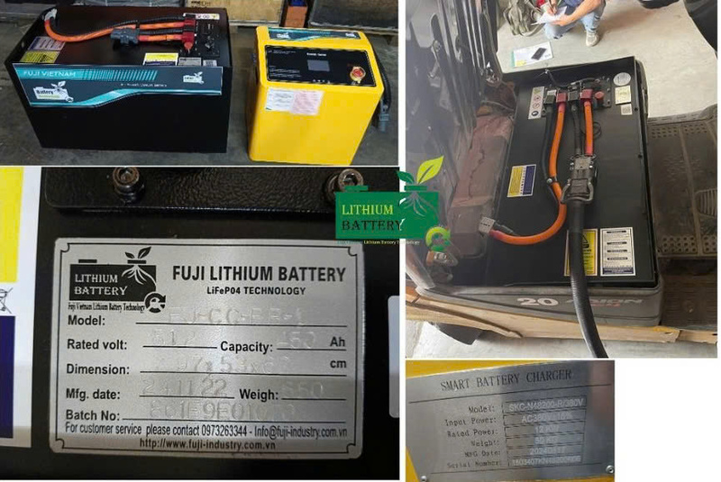 Pin Fuji Lithium