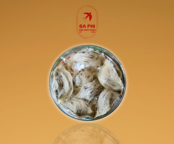 Tổ yến còn lông