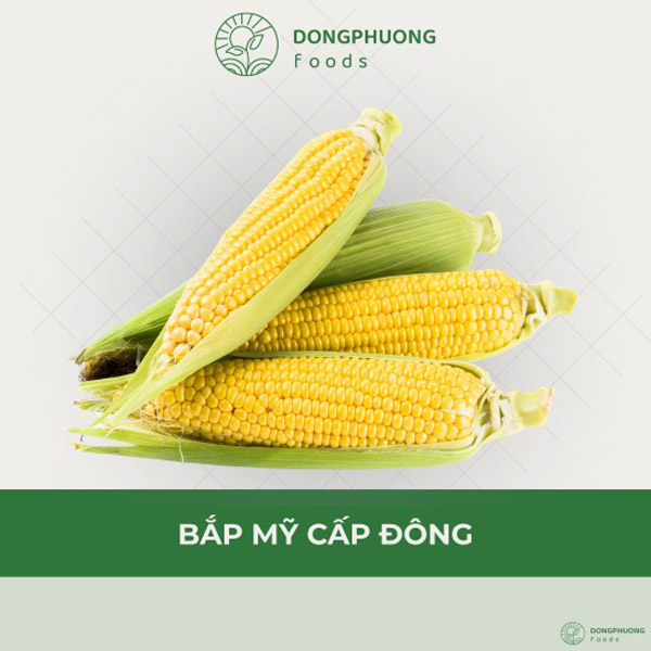 Bắp Mỹ cấp đông
