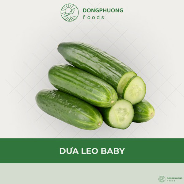 Dưa leo baby