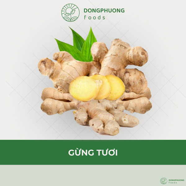 Gừng tươi
