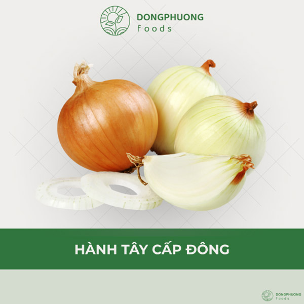 Hành tây cấp đông