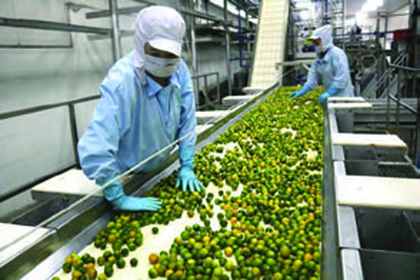 Quy trình sản xuất & đóng gói Mekong Herbals