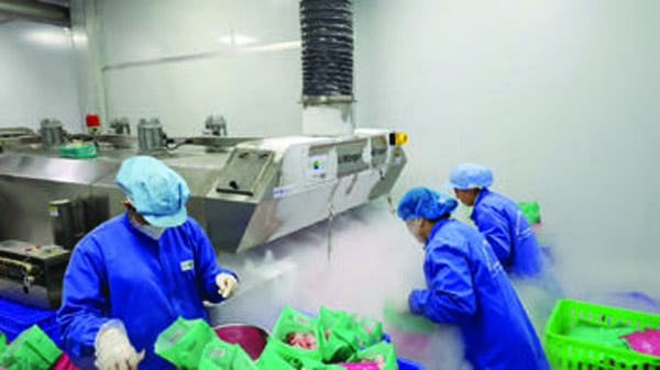 Quy trình sản xuất & đóng gói Mekong Herbals