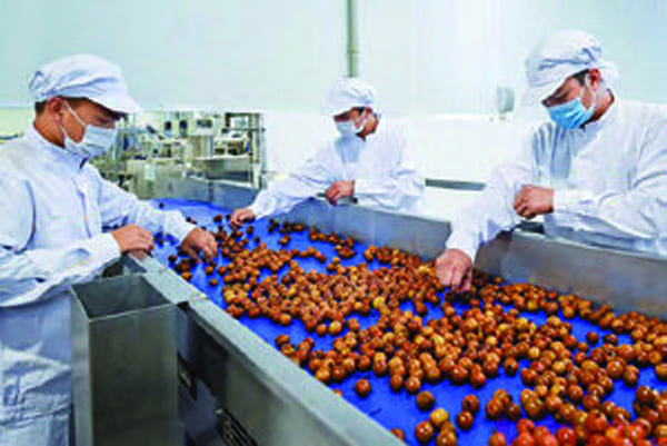 Quy trình sản xuất & đóng gói Mekong Herbals