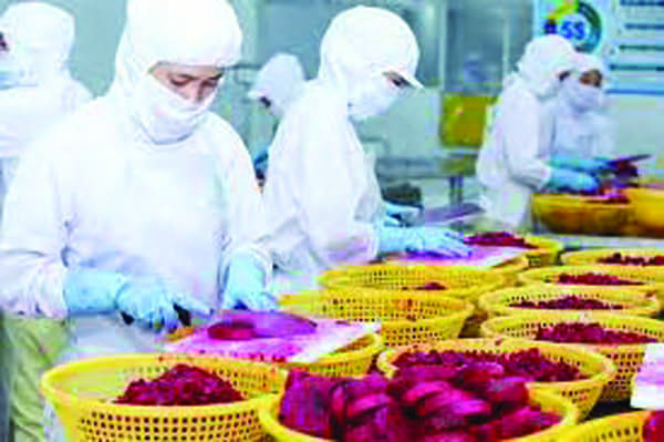 Quy trình sản xuất & đóng gói Mekong Herbals