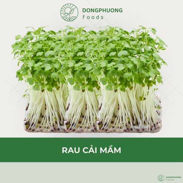 Rau cải mầm