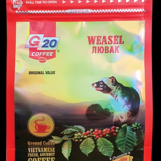 Cà phê chồn - Vàng