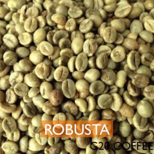 Hạt cà phê tươi Robusta washed