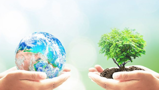 Lập báo cáo đánh giá tác động môi trường