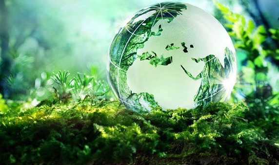 Lập hồ sơ quan trắc môi trường