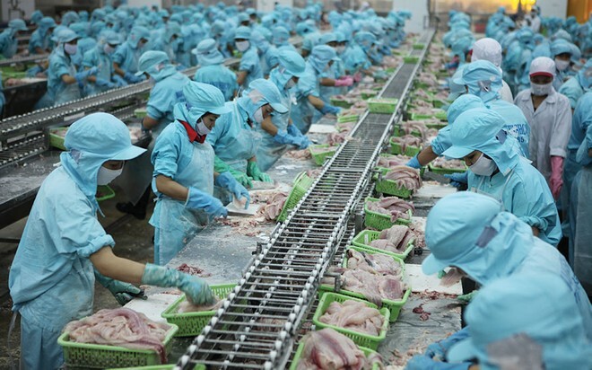 Xử lý nước thải chế biến thủy sản