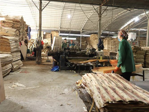 Hình ảnh công ty Pallet Gỗ Bình Gia