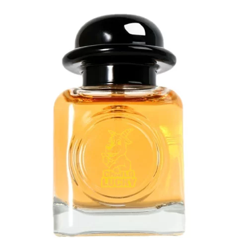 Chai chiết nước hoa 30ml đẹp sang trọng