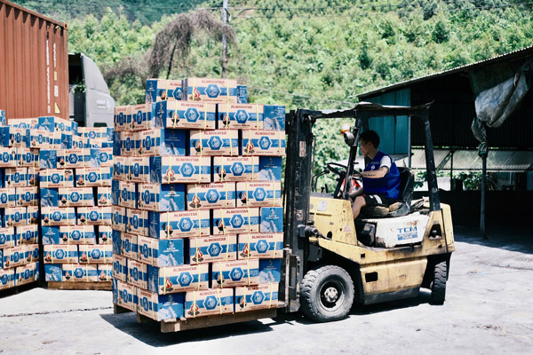 Hình ảnh nhà xưởng HASATU - Than Không Khói HASATU - Công Ty TNHH Xuất Nhập Khẩu HASATU
