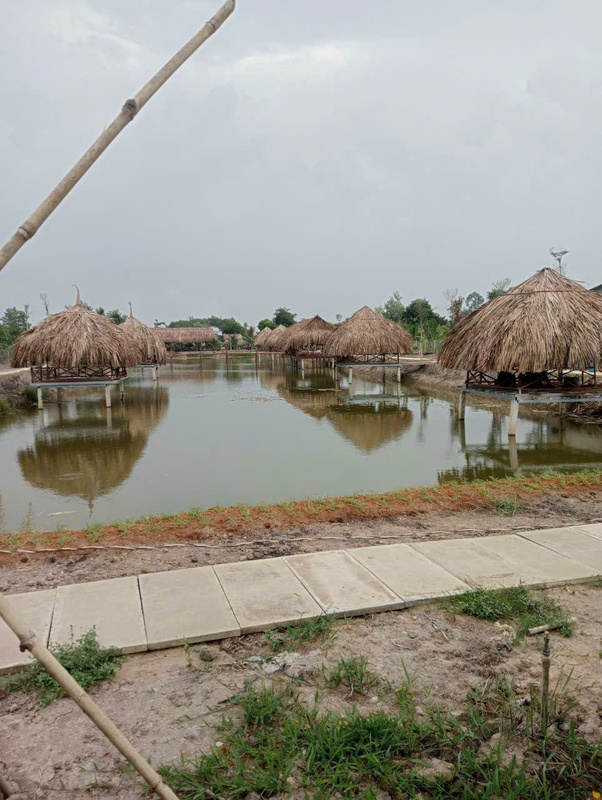 Nhà lá Minh Triết - Nhà Lá Minh Triệt