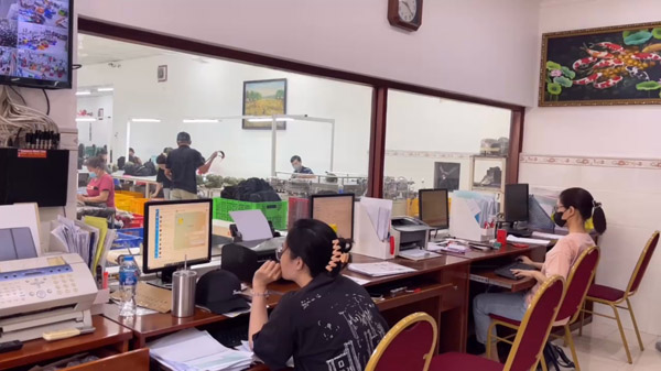 Tiếp nhận thông tin - Gia Công Mũ Nón Bình Minh Việt - Công Ty TNHH Bình Minh Việt