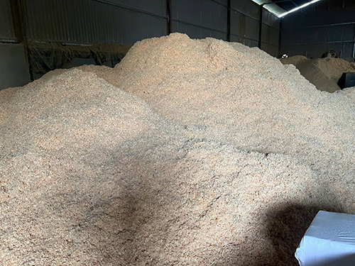 Hình ảnh nhà máy sản xuất công ty Phong Thái Thuận - Viên Nén Gỗ Phong Thái Thuận - Công Ty TNHH Phong Thái Thuận